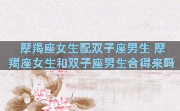 摩羯座女生配双子座男生 摩羯座女生和双子座男生合得来吗